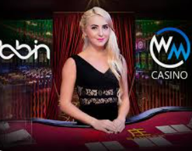 娱乐星空下载app2024最新版